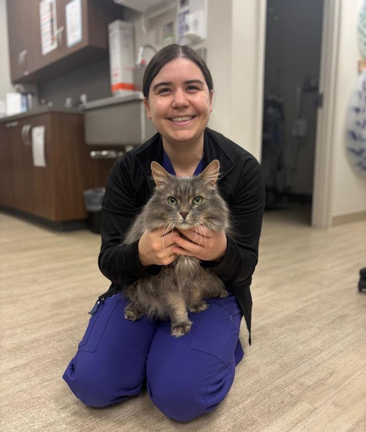 Portrait of Cassandra